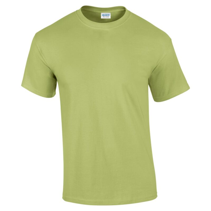 gi2000-pistachio-c1 Gildan ULTRA COTTON™ ADULT T-SHIRT - Φιστικί