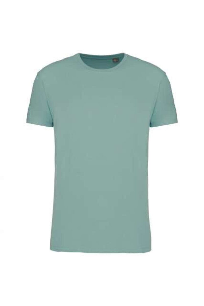 ka3032ic-sage-a1 Kariban ORGANIC 190IC CREW NECK T-SHIRT - πράσινο φασκόμηλου