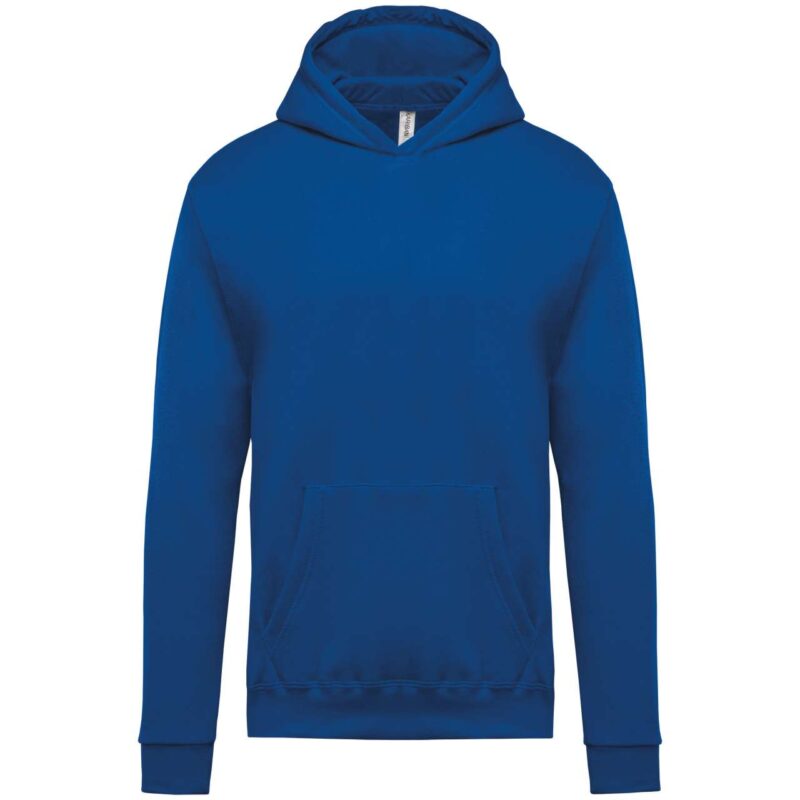 ka477-light_royal_blue-a1 Kariban KIDS HOODED SWEATSHIRT - ανοιχτό βασιλικό μπλε