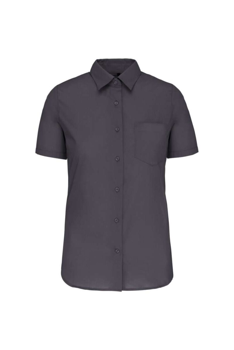ka544-zinc-a2 Kariban ποπλίνα) - `SHIRT` -> Πουκάμισο (noun) Putting it together: A shirt is "πουκάμισο" (neuter). So adjectives need to be neuter. `LADIES'` -> Γυναικείο (feminine, but here it modifies "shirt" which is neuter, so " - Γκρι του ψευδαργύρου