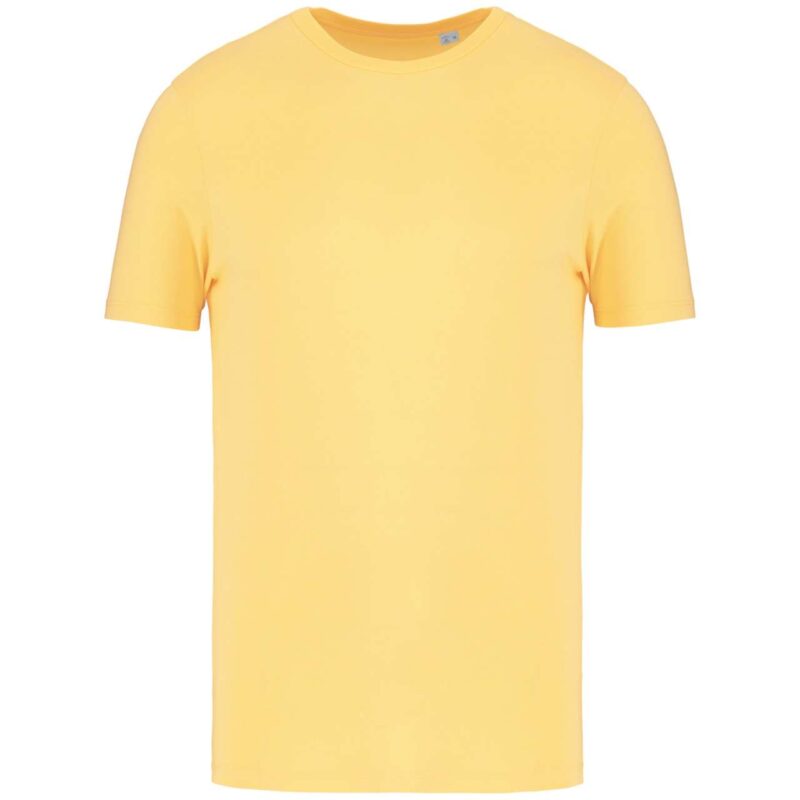 ns300-pineapple-a1 Native Spirit ECO-FRIENDLY T-SHIRT UNISEX - Pineapple