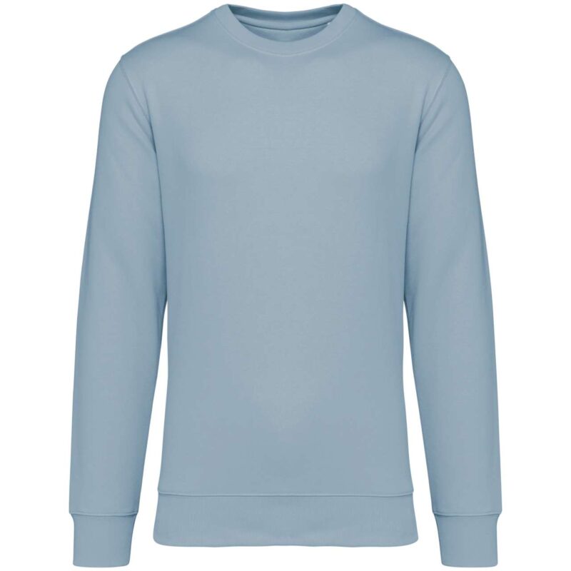 Native Spirit ECO-FRIENDLY UNISEX ROUND NECK SWEATSHIRT - Aquamarine