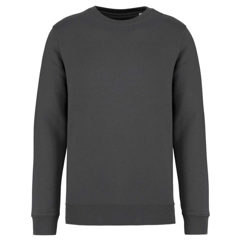 Native Spirit ECO-FRIENDLY UNISEX ROUND NECK SWEATSHIRT - Iron Grey