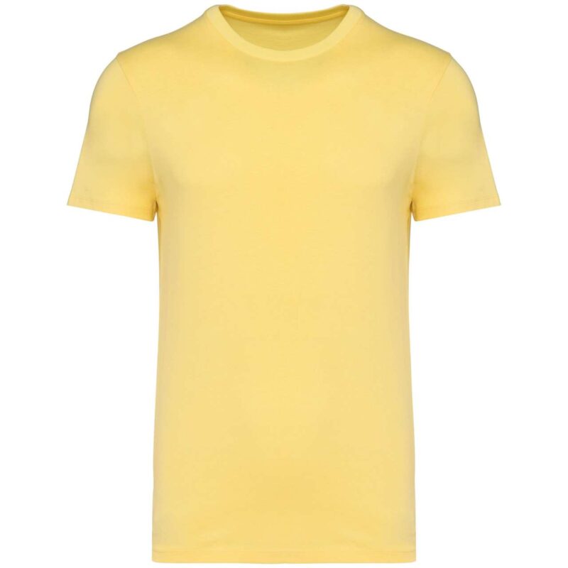 ns305-pineapple-a1 Native Spirit UNISEX ECO-FRIENDLY T-SHIRT - Pineapple