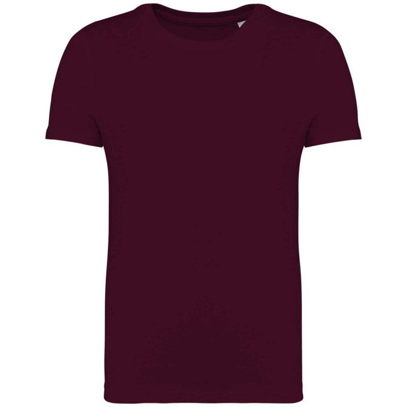 ns307-dark_cherry-a1 Native Spirit T-SHIRT της KID - Dark Cherry