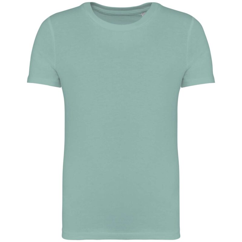ns307-jade_green-a1 Native Spirit T-SHIRT της KID - Jade Green