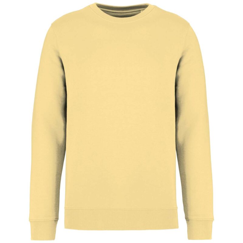 Native Spirit ECO-FRIENDLY UNISEX ROUND NECK SWEATSHIRT - Pineapple
