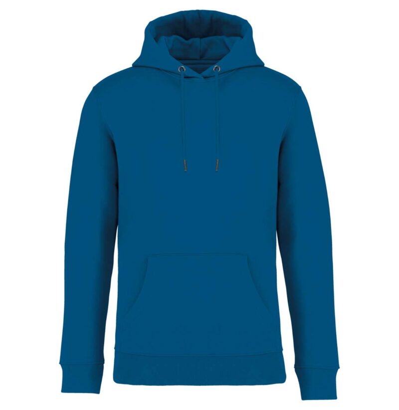 ns401-blue_sapphire-a1 Native Spirit ECO-FRIENDLY UNISEX HOODED SWEATSHIRT - Blue Sapphire