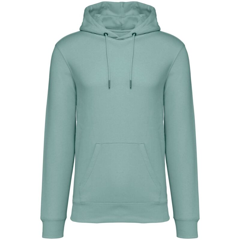Native Spirit ECO-FRIENDLY UNISEX HOODED SWEATSHIRT - Jade Green