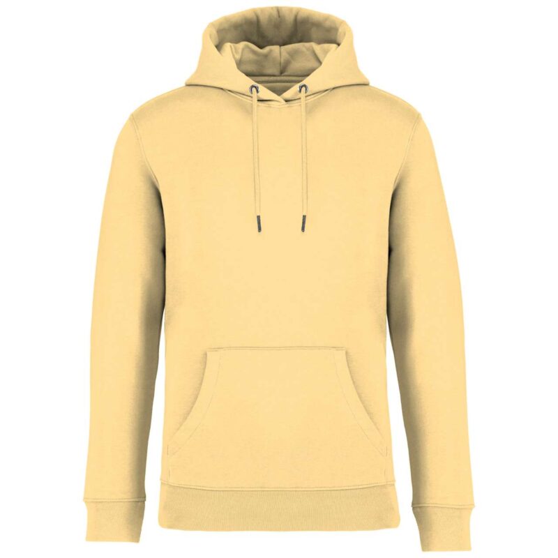 ns401-pineapple-a1 Native Spirit ECO-FRIENDLY UNISEX HOODED SWEATSHIRT - Pineapple