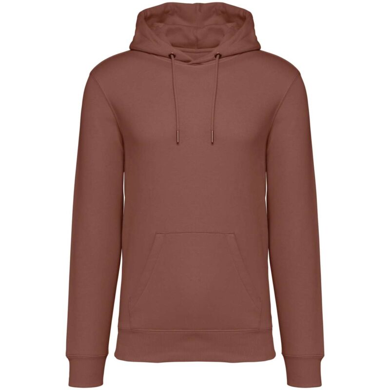 ns401-sienna-a1 Native Spirit ECO-FRIENDLY UNISEX HOODED SWEATSHIRT - Sienna