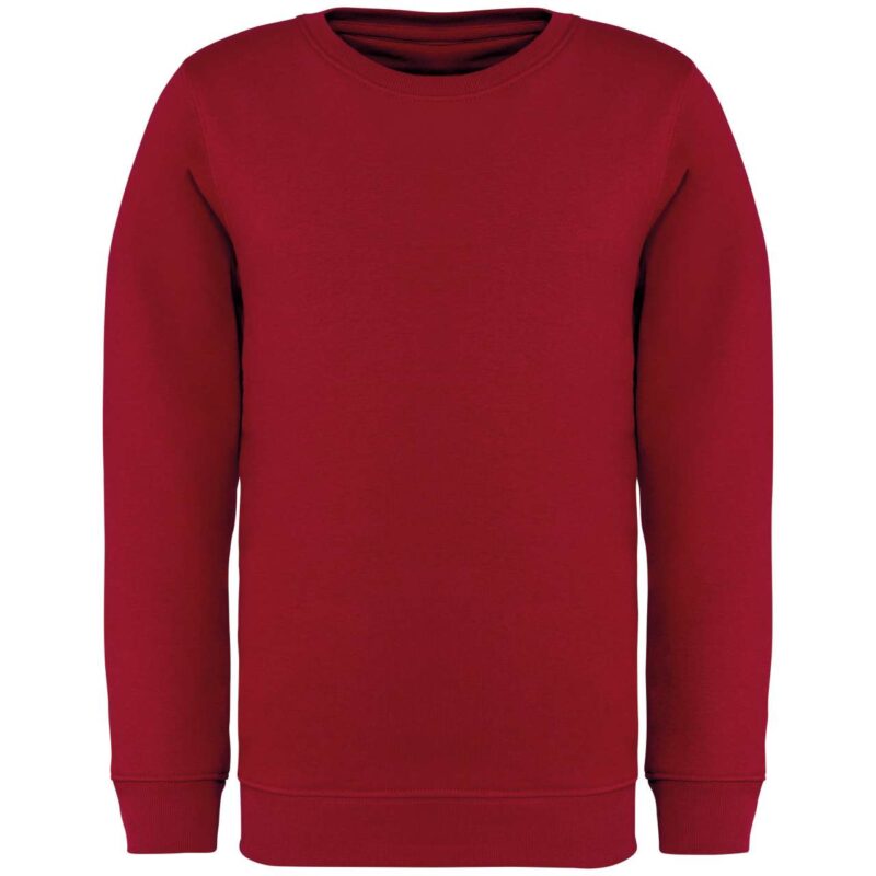 ns403-hibiscus_red-a1 Native Spirit Παιδικό SWEATSHIRT Στρογγυλή Λαιμόκοψη ECO-FRIENDLY - Hibiscus Red