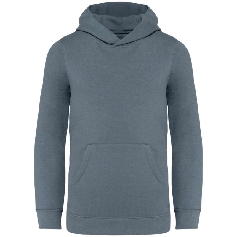 ns404-mineral_grey-a1 Native Spirit KIDS HOODED SWEATSHIRT - Mineral Grey