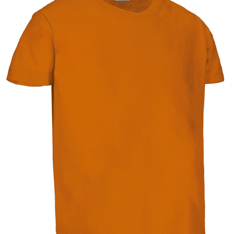 Παιδικό S/S T-Shirt DINO - Πορτοκαλί party