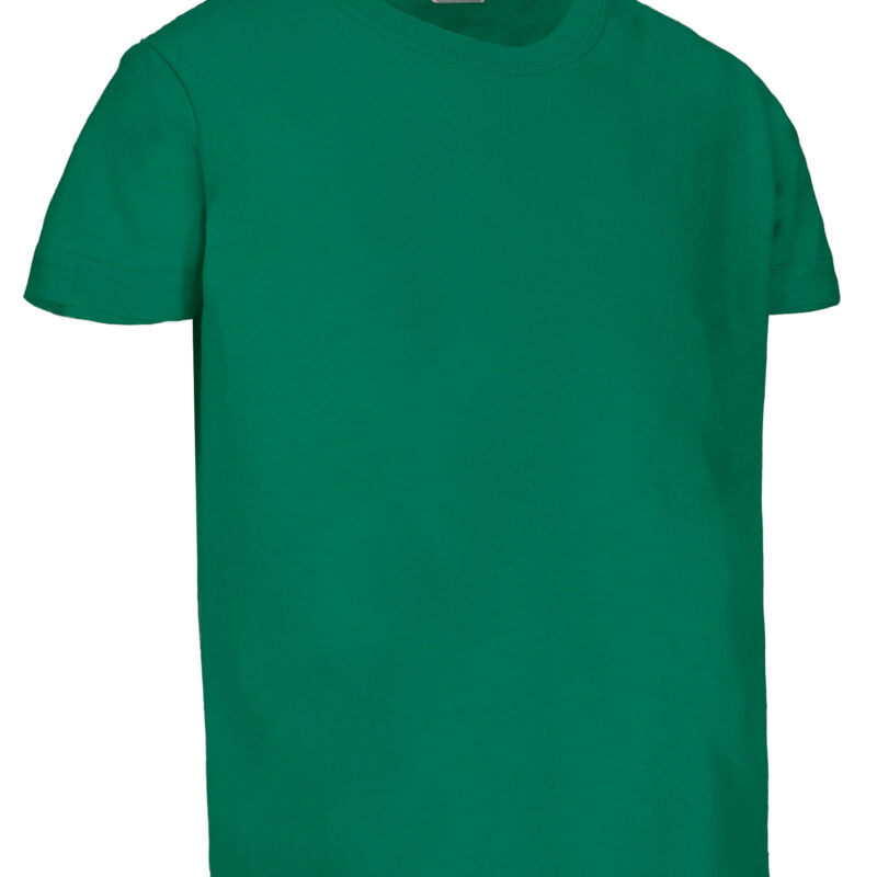 Παιδικό S/S T-Shirt DINO - Πράσινο Kelly