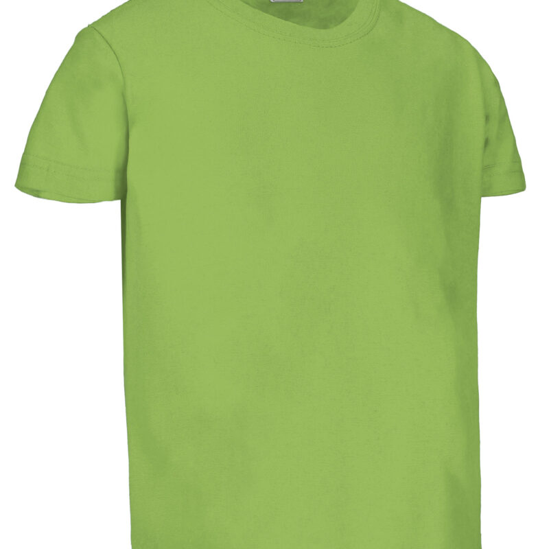 Παιδικό S/S T-Shirt DINO - Πράσινο μήλο