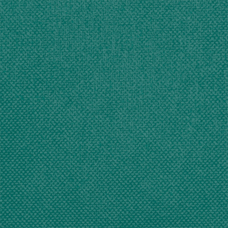 Large disposable tablecloth HOSTEX - Amazon Πράσινο