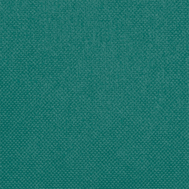 Disposable placemat HOSTEX - Amazon Πράσινο
