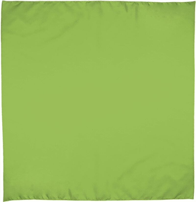 PNVABANVP Squared scarf BANDANA - Πράσινο μήλο