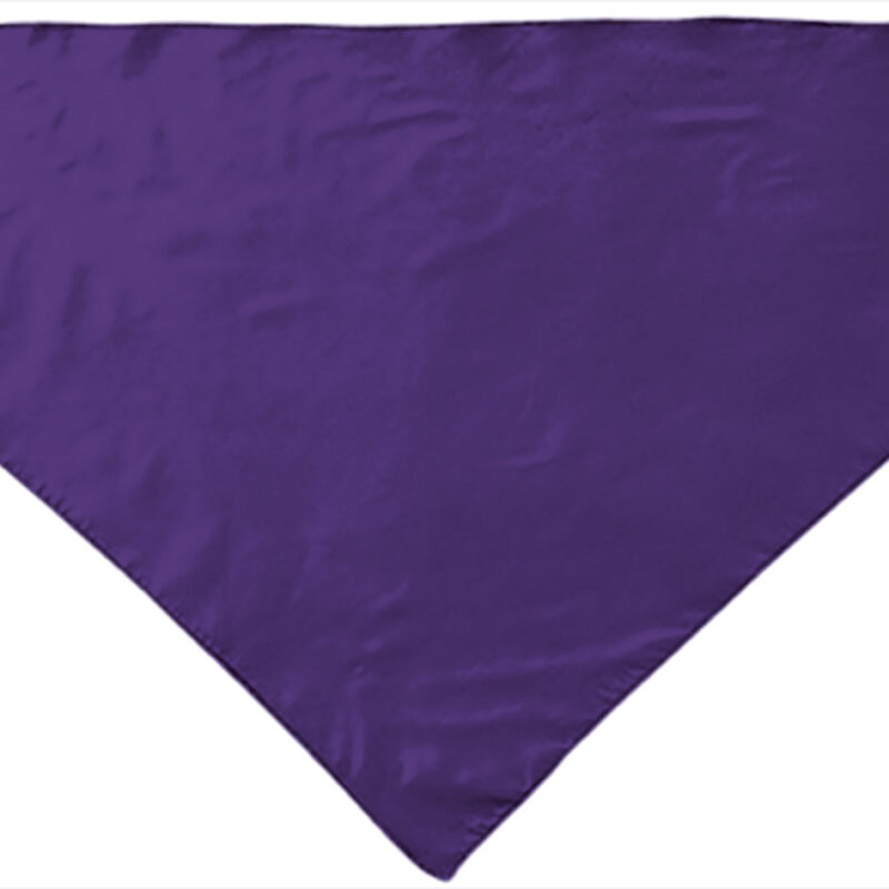 PNVAFIEMD Triangular scarf FIESTA - Βιολετί σταφύλι