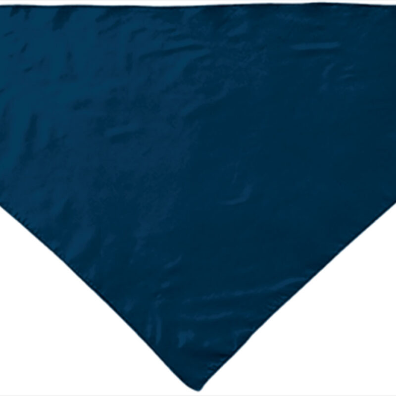 PNVAFIEMR Triangular scarf FIESTA - Night Μπλε σκούρο Μπλε