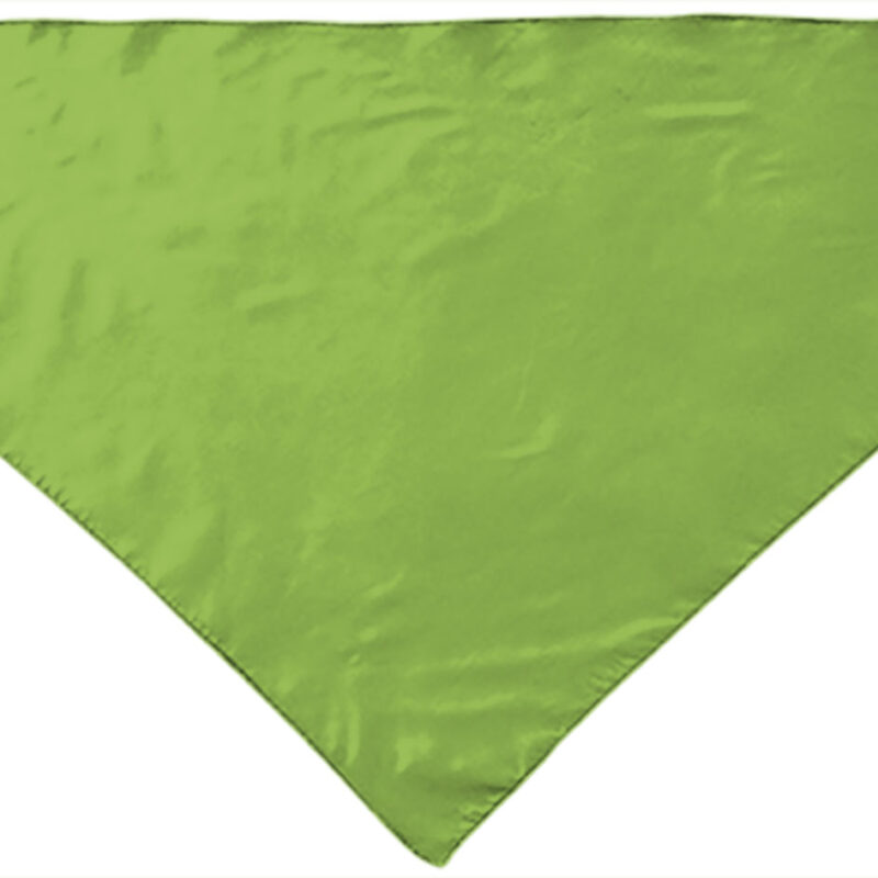 PNVAFIEVM Triangular scarf FIESTA - Πράσινο μήλο