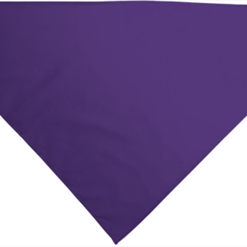 PNVAPOPMD Triangular scarf GALA - Βιολετί σταφύλι