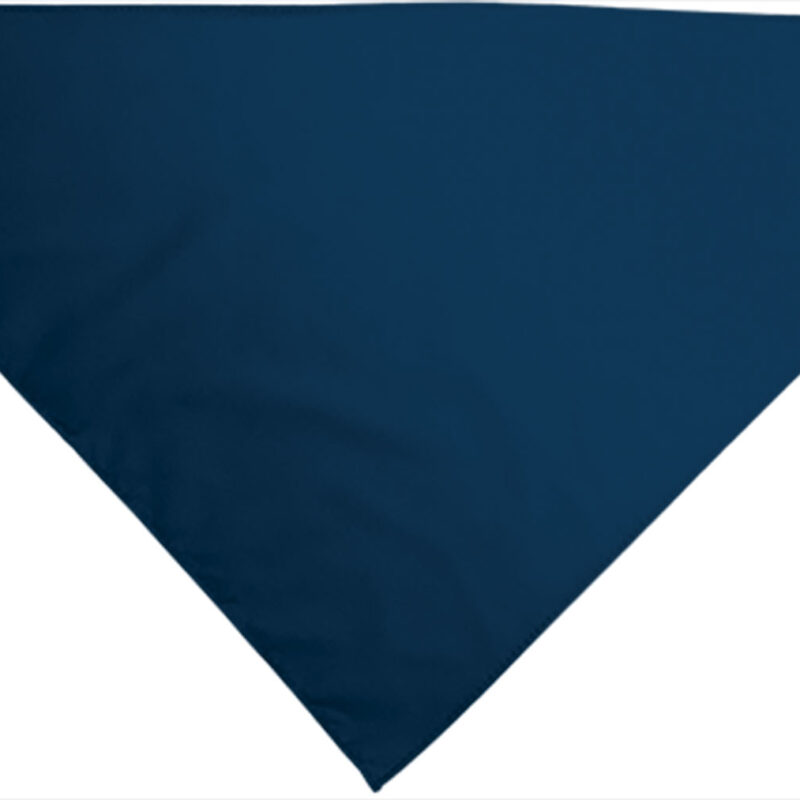 PNVAPOPMR Triangular scarf GALA - Μπλε navy Orion