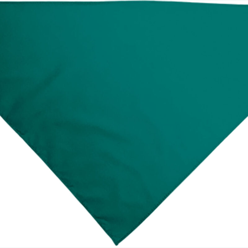 PNVAPOPVH Triangular scarf GALA - Amazon Πράσινο
