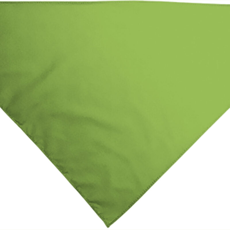 PNVAPOPVP Triangular scarf GALA - Πράσινο μήλο