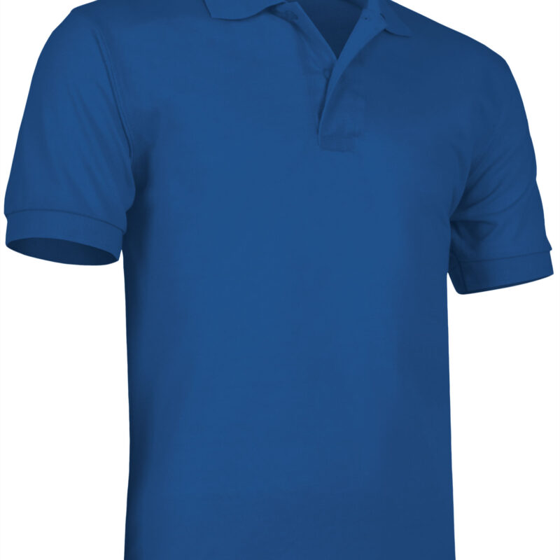 POVAMIXRY Κοντομάνικο Polo Shirt ULISES - Μπλε ρουά